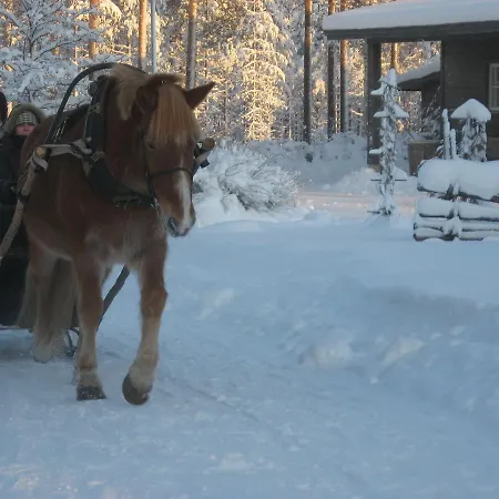Lauhansarvi Luontomatkailukeskus * Isojoki